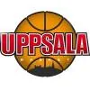 乌普萨拉女篮队徽
