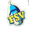 FSV女篮队徽