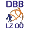 DBB林兹威尔斯女篮队徽