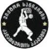 VSA U22队徽