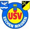 USV伊斯琛队徽