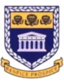 西开普大学女足队徽