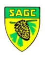 SA加济内塞斯塔队徽