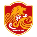 宁德队队徽